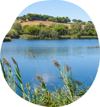 Vista di un lago in campagna